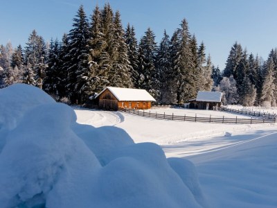 Apartment Ferienhaus - Outdoor photo 44