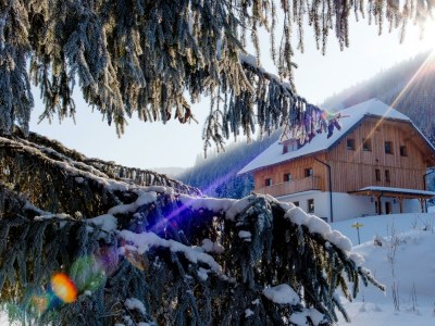 Apartment Ferienhaus - Outdoor photo 46