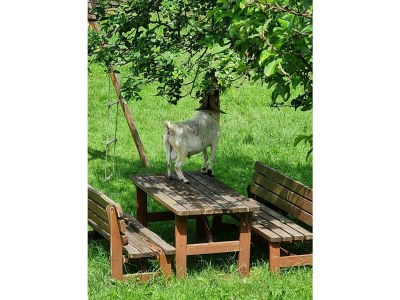 Apartment Ferienhaus - Outdoor photo 50