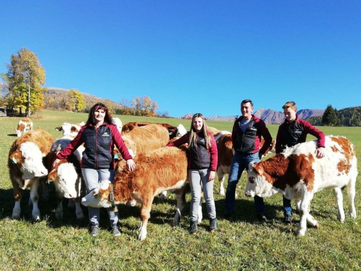 Apartment Appartement Erde/Fewo, Dusche, WC, 2 Schlafräume