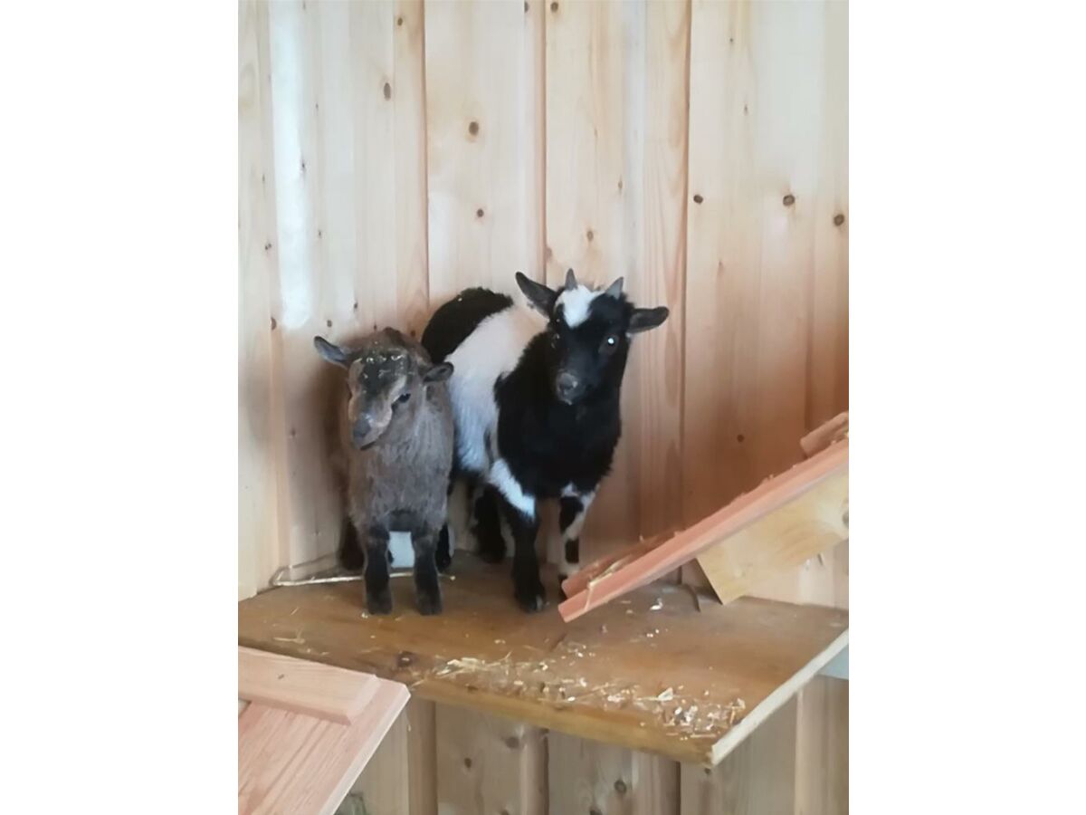 Apartment Appartement Erde/Fewo, Dusche, WC, 2 Schlafräume - Outdoor photo 5