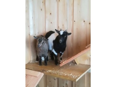 Apartment Appartement Erde/Fewo, Dusche, WC, 2 Schlafräume - Outdoor photo 5