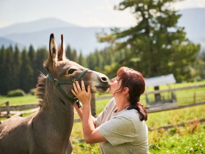 Apartment Appartement Erde/Fewo, Dusche, WC, 2 Schlafräume - Outdoor photo 8