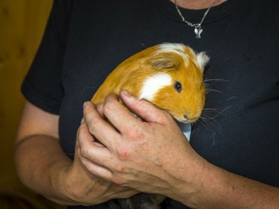 Apartment Appartement Erde/Fewo, Dusche, WC, 2 Schlafräume - Outdoor photo 13