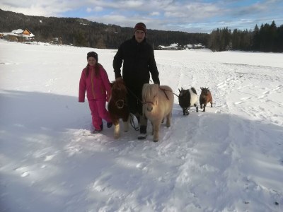 Apartment Appartement Erde/Fewo, Dusche, WC, 2 Schlafräume - Outdoor photo 16