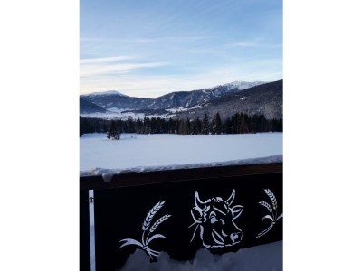 Apartment Appartement Erde/Fewo, Dusche, WC, 2 Schlafräume - Outdoor photo 18