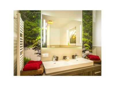 Apartment Appartement Erde/Fewo, Dusche, WC, 2 Schlafräume - Features photo 31