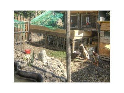 Apartment Apartment 6 / 3 Schlafräume/Dusche, WC - Outdoor photo 9