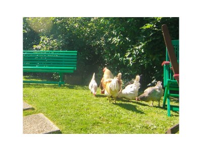 Apartment Apartment 6 / 3 Schlafräume/Dusche, WC - Outdoor photo 10