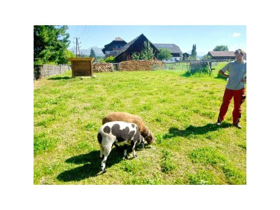 Apartment Apartment 6 / 3 Schlafräume/Dusche, WC - Outdoor photo 13