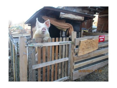 Apartment Apartment 6 / 3 Schlafräume/Dusche, WC - Outdoor photo 20