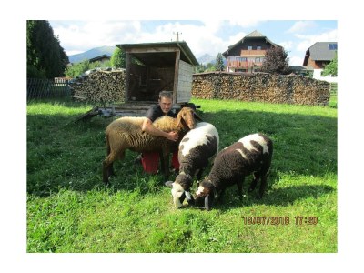 Apartment Apartment 6 / 3 Schlafräume/Dusche, WC - Outdoor photo 21