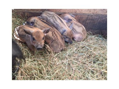 Apartment Gummablick - Outdoor photo 6