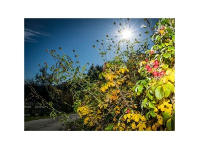 Apartment Gummablick - Outdoor photo 13