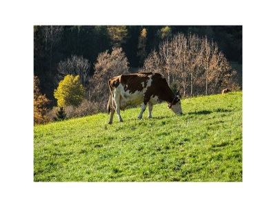 Apartment Gummablick - Outdoor photo 16