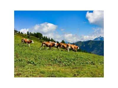 Apartment Appartement Schizentrum - Outdoor photo 19