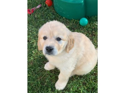 Apartment Typ A6-9A - Outdoor photo 9