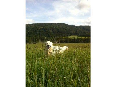 Apartment Typ A6-9A - Outdoor photo 18