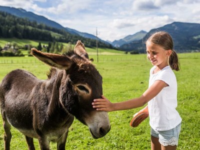 Apartment Apartment Katschberg/Wohnung 4 in Mauterndorf im Lungau - Apartment