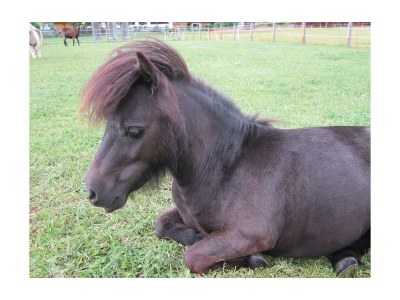 Apartment Apartment Katschberg/Wohnung 4 - Outdoor photo 8