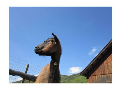 Apartment Apartment Katschberg/Wohnung 4 - Outdoor photo 10