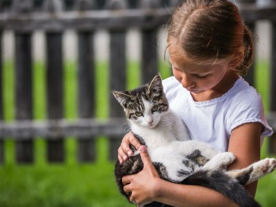 Apartment Apartment Katschberg/Wohnung 4 - Outdoor photo 12