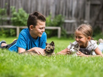 Apartment Apartment Katschberg/Wohnung 4 - Outdoor photo 27