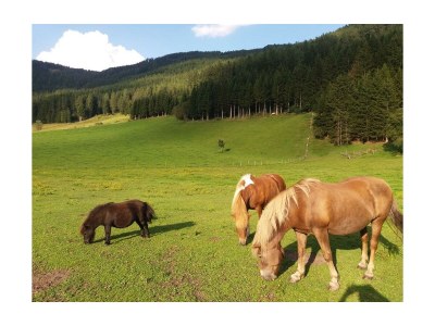 Apartment Apartment Katschberg/Wohnung 4 - Outdoor photo 41