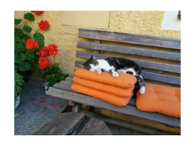 Apartment Apartment Katschberg/Wohnung 4 - Outdoor photo 45