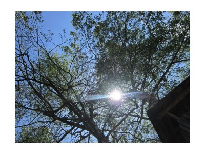 Apartment Apartment Katschberg/Wohnung 4 - Features photo 53