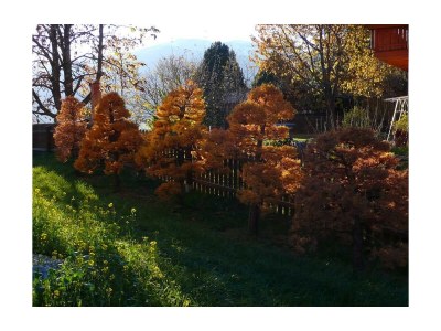 Apartment Apartment/2 Schlafräume/Dusche, WC - Outdoor photo 8