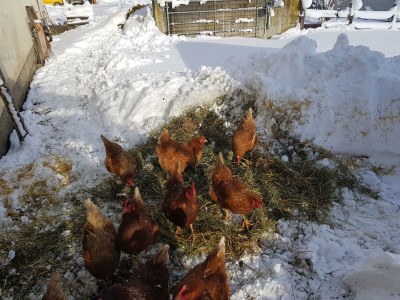 Apartment Apartment mit Südblick - Outdoor photo 7