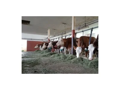 Apartment Apartment mit Südblick - Outdoor photo 9