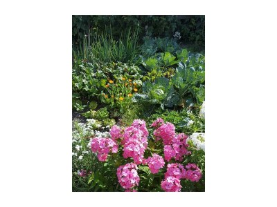 Apartment Apartment mit Südblick - Outdoor photo 11