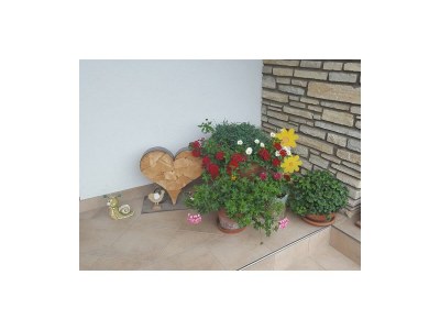 Apartment Apartment mit Südblick - Outdoor photo 20