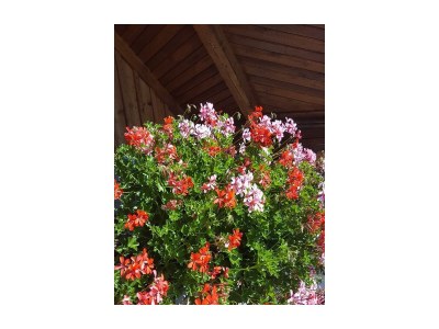 Apartment Apartment mit Südblick - Features photo 41