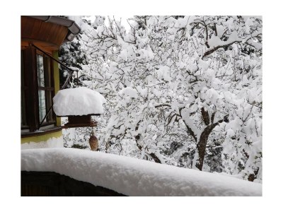 Apartment Fewo Schlossblick - Outdoor photo 12