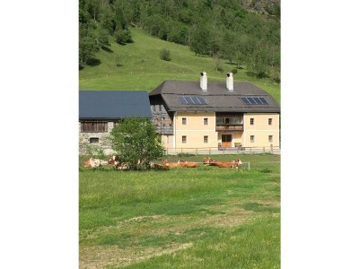 Apartment Brunftwochen, Appartement/Fewo - Outdoor photo 13