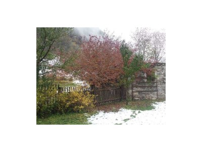 Apartment Brunftwochen, Appartement/Fewo - Outdoor photo 19