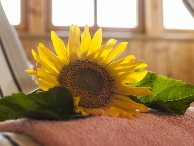 Apartment Apartment Type A (57 qm)/2 Schlafräume/D - Outdoor photo 60