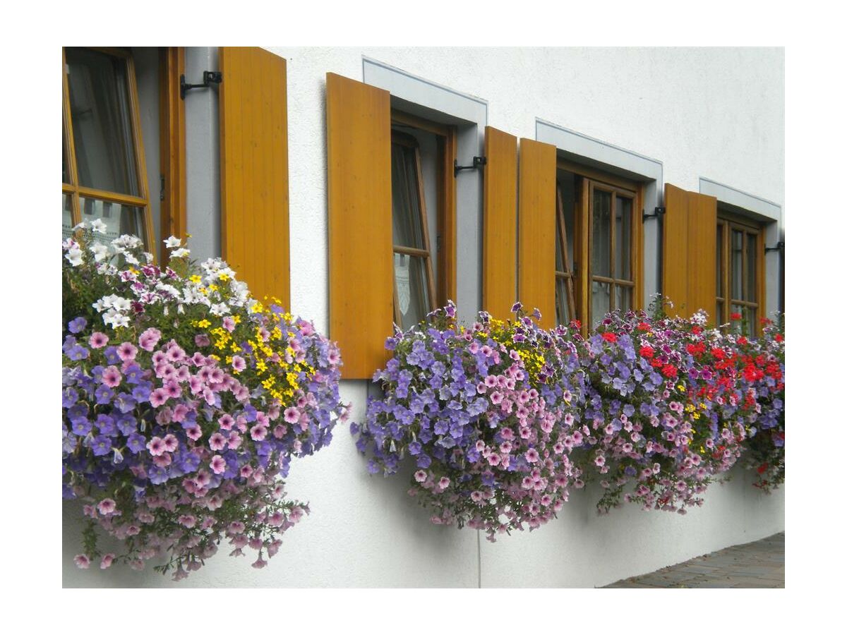 Apartment Apartment TOP 1 mit 2 Schlafzimmern - Outdoor photo 2