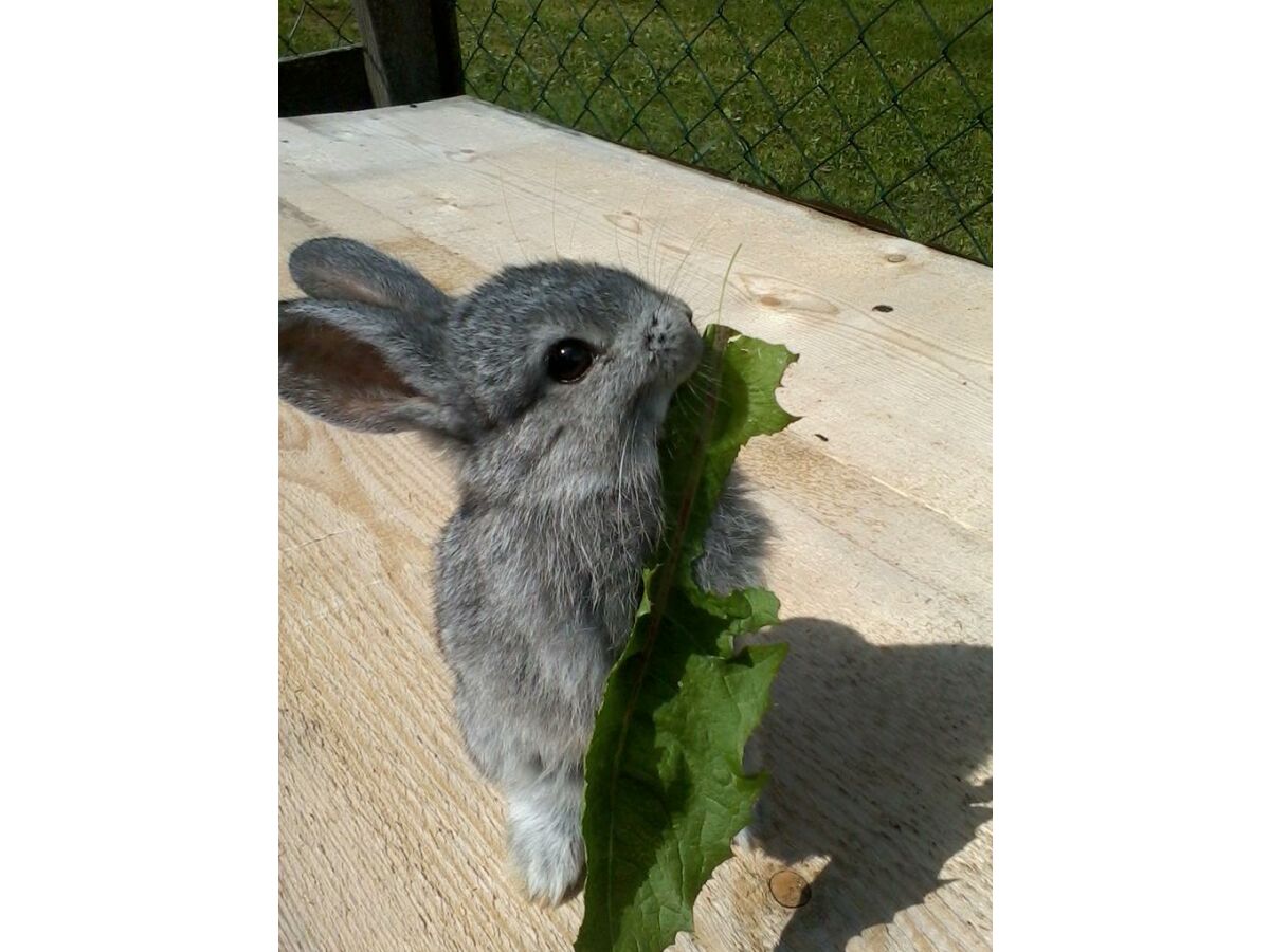 Apartment Apartment TOP 1 mit 2 Schlafzimmern - Outdoor photo 3