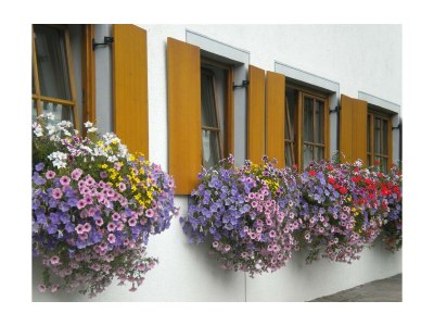 Apartment Apartment TOP 1 mit 2 Schlafzimmern - Outdoor photo 2