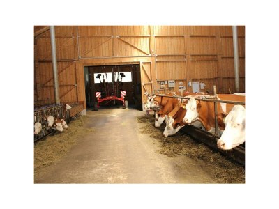 Apartment Apartment TOP 1 mit 2 Schlafzimmern - Outdoor photo 4