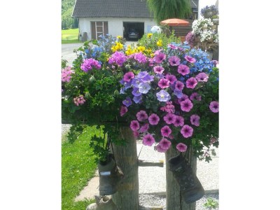 Apartment Apartment TOP 1 mit 2 Schlafzimmern - Outdoor photo 6