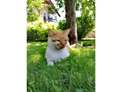 Apartment Apartment Florian - Outdoor photo 13