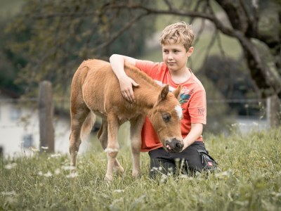 Apartment Apartment 27 - Outdoor photo 7