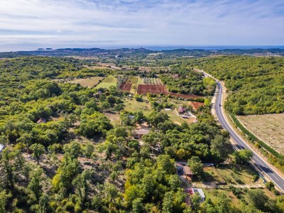 Holiday apartment Paradiso Istriano - Outdoor photo 8