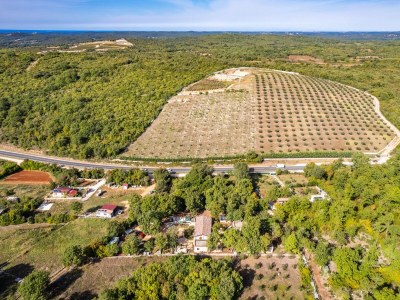 Holiday apartment Paradiso Istriano - Environment photo 20