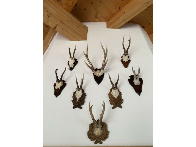 Apartment Appartement Penthouse - AB - Features photo 47